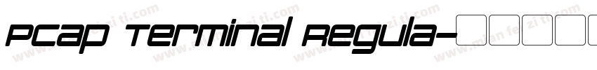 PCap Terminal Regula字体转换